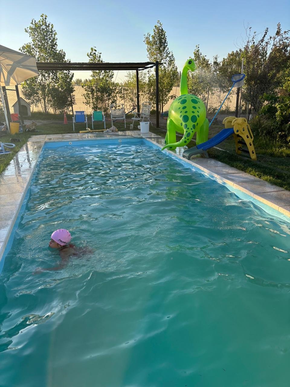 whatsapp image 2026 01 31 at 9.09.42 am